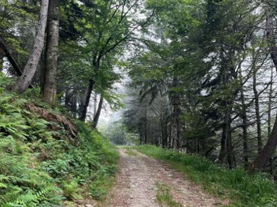 Pedala in Granda! I Luoghi della Resistenza in Valle Ellero